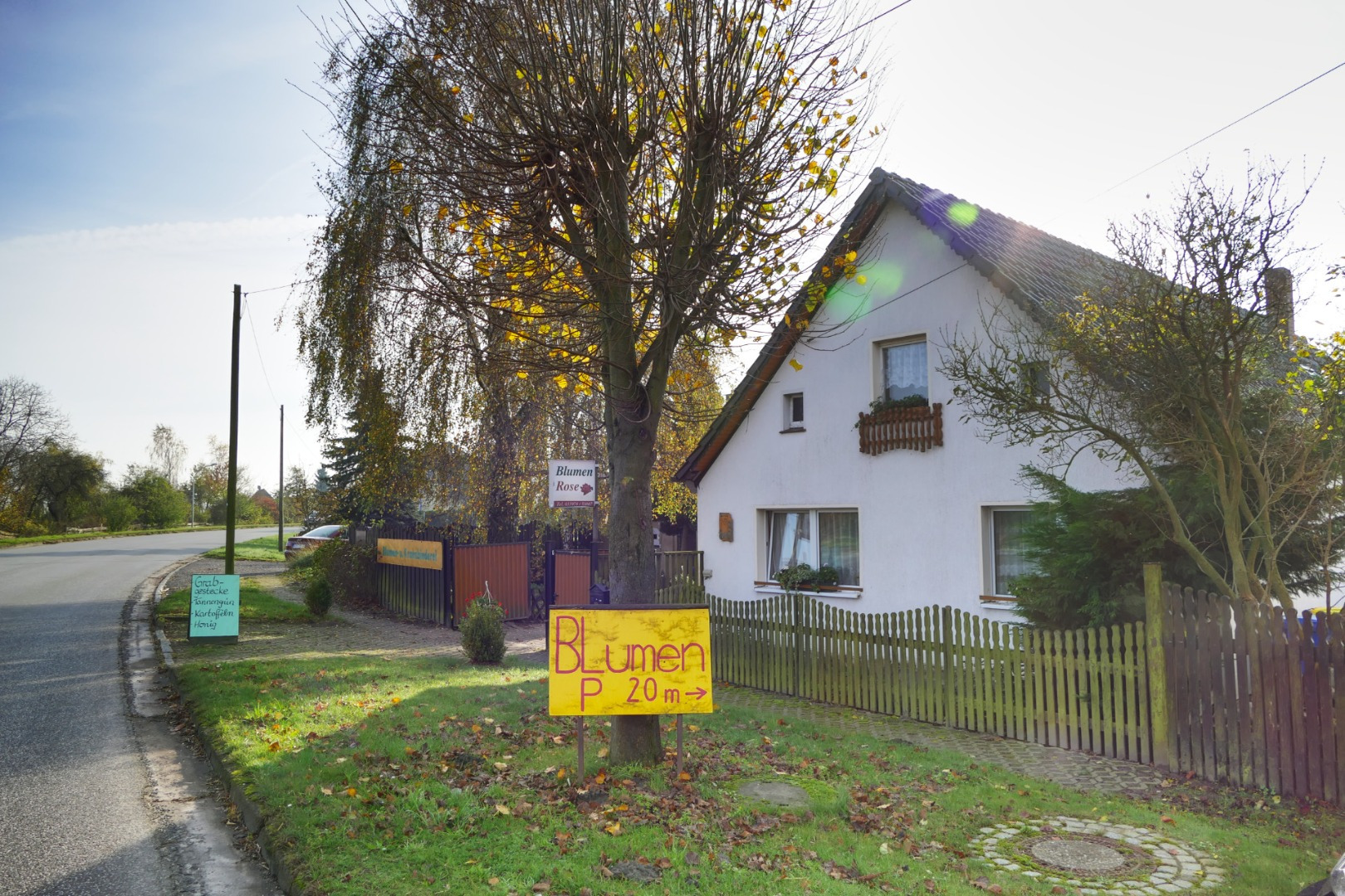 Blumen-Rose | Lindenstraße 49 in Segeletz