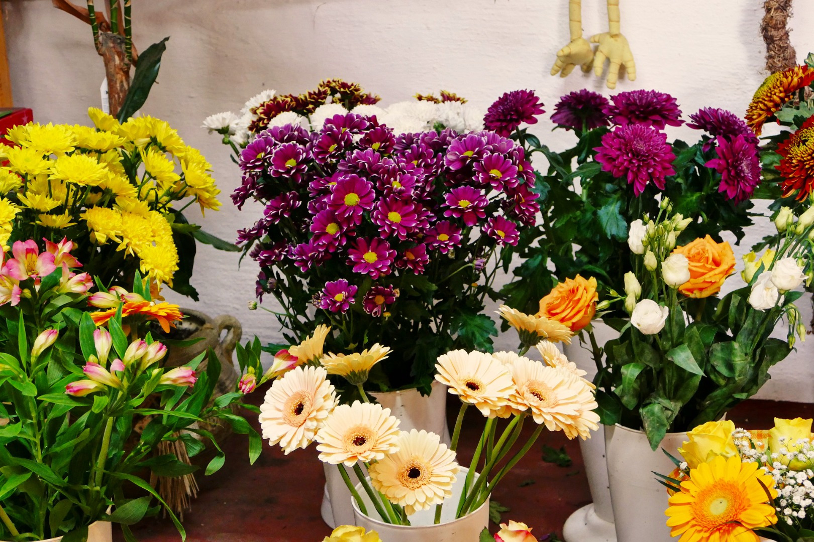 Blumen-Rose | Schnittblumen