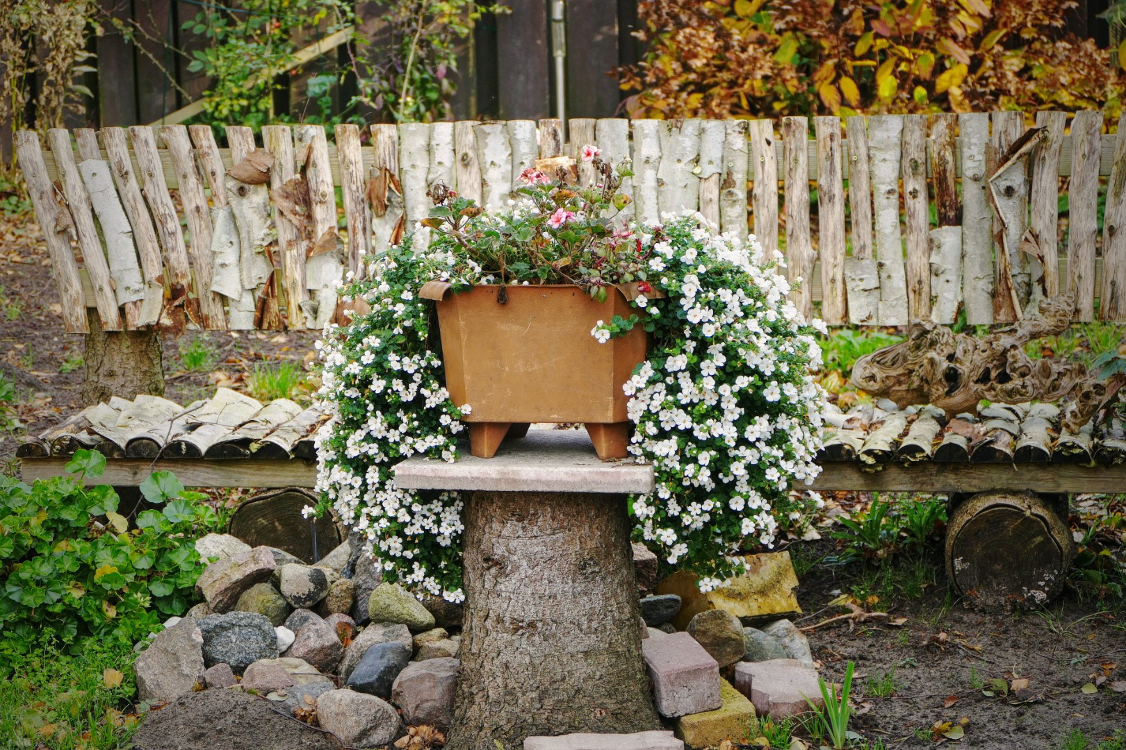 Blumen-Rose | Dezente Gartendekoration im Spätherbst.