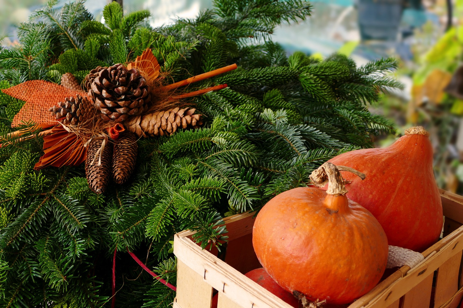Blumen-Rose | Hokkaidokürbis köstliches Herbstgemüse für Kürbissuppe, Kürbisbrot, Kürbiskuchen und noch viel mehr.